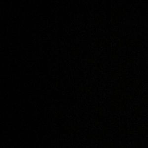 Meet your Posher, Bertha